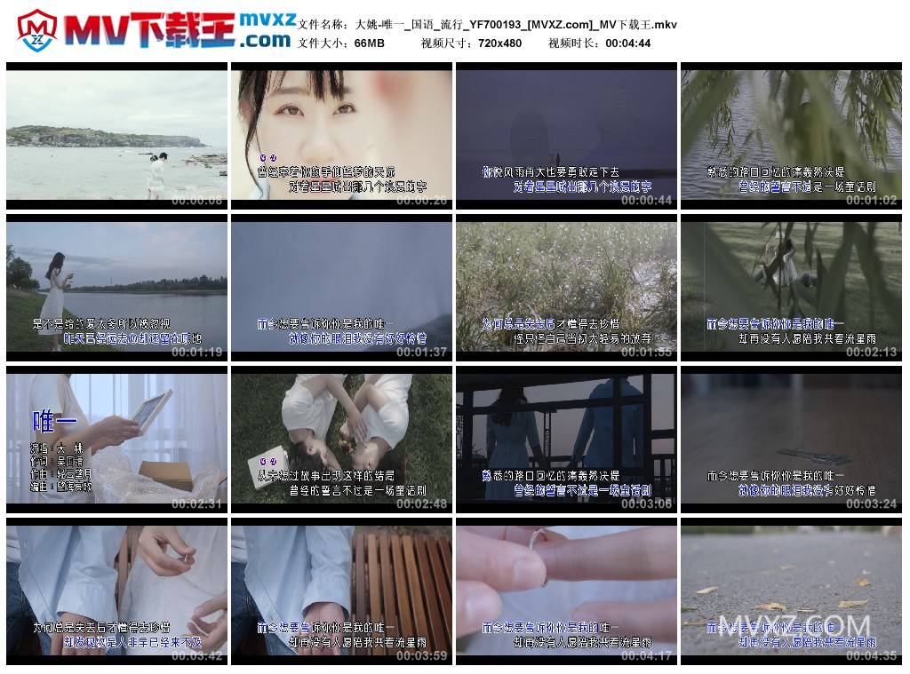 大姚-唯一_国语_流行_YF700193